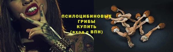 винт Заводоуковск