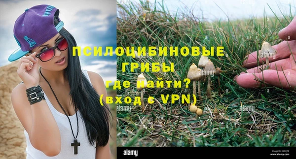 винт Заводоуковск